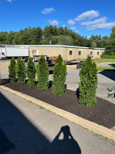 Mulch Installation for Z. Hastings Landscape Construction in Templeton, MA