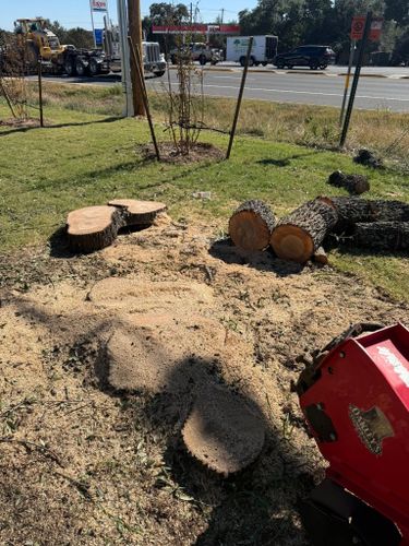Tree Removal for Oakley’s Stump ‘N Grind in Leander, TX