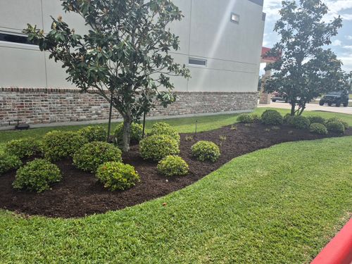 Landscaping for Texas Lawn & Sprinkler Co. in Houston, TX
