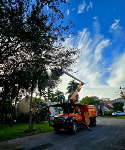 All Photos for Bridgewater Arbor Care LLC in Jupiter, FL