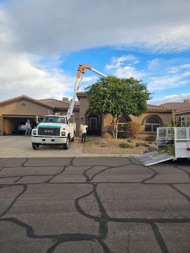 Tree Trimming for T's Tree Service and Firewood in Apache Junction, AZ