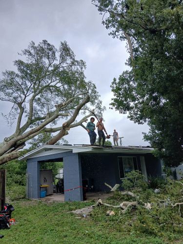 All Photos for A Southern Style Tree Service in Orlando, FL