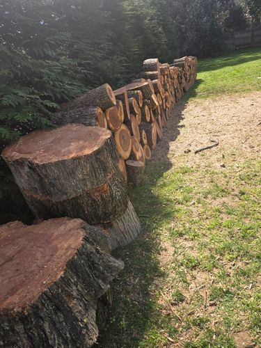All Photos for Green Brothers Tree Services in Blacksburg, VA
