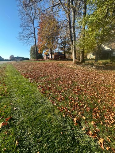 Curbside Leaf Collection and Fall Clean Ups for Kyle's Lawn Care in Kernersville, NC