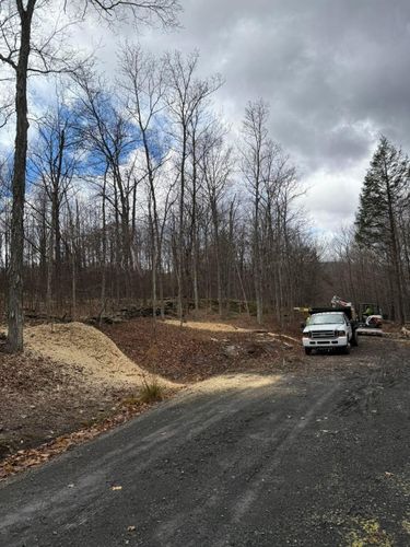  for Sterlings Tree Removal in Cobleskill, New York