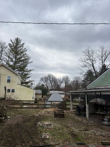  for Dig-It Tree Company in Mason, OH