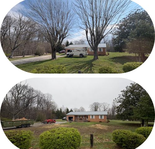  for McBee’s Tree Service in Sewanee, TN