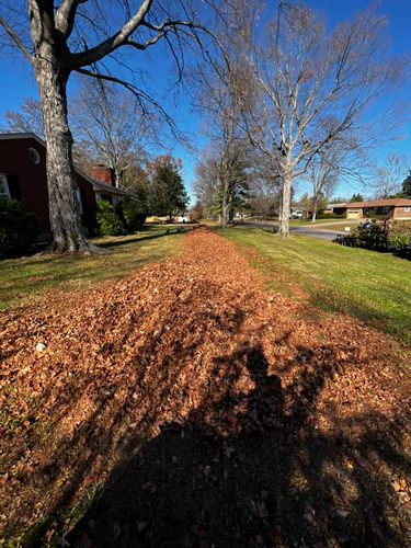 Lawn and Yard Clean Up for The After Effect LLC in Louisville, KY