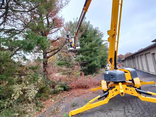 Tree Trimming for Billiter's Tree Service, LLC in Rootstown, Ohio