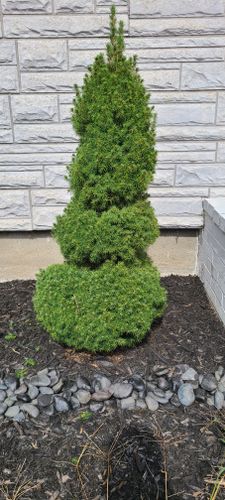  for RK Outdoor Services in Weare, NH