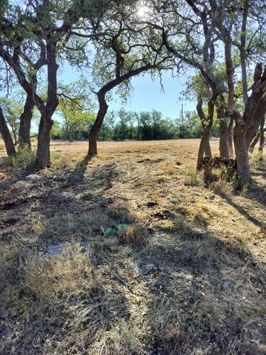 Tree Trimming & Removal for 512 Land Clearing in Blanco County, TX