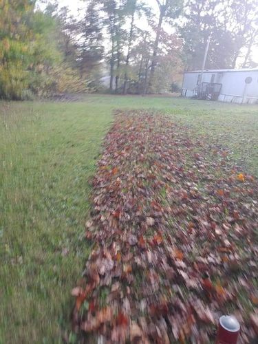 Fall and Spring Clean Up for Top Notch Lawn Care and Tree Removal in Mebane, NC