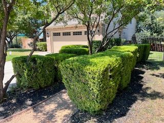 Shrub Trimming for CS LawnCare  in San Antonio,  TX