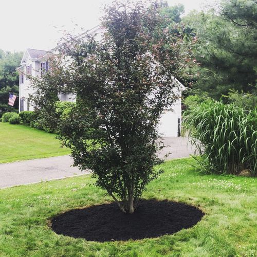 Mulch Installation for Hennessey Landscaping LLC in Oxford,  CT 