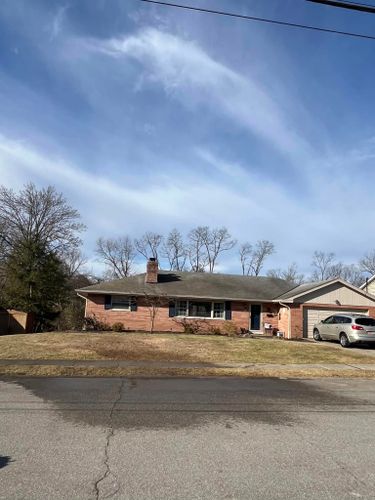 Tree Removal for Precision Tree Service, Inc. in Ryland Heights, KY