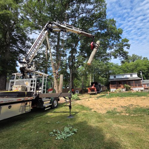  for Darbie's Tree Service in Newburg,  MD