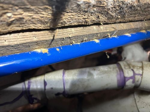 Termite Inspection & Treatment for Winecoff Pest Control in Salisbury, NC