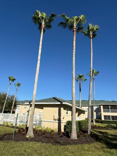  for Cunningham's Lawn & Landscaping LLC in Daytona Beach, Florida