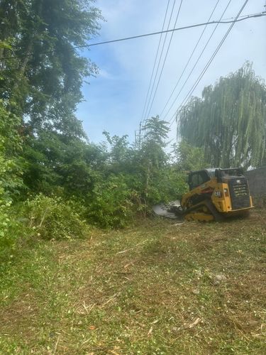 Land Clearing & Brush Removal for DIRT PLUS LLC in Bowling Green, KY