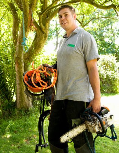  for Tree-B-Gone in Appleton, WI