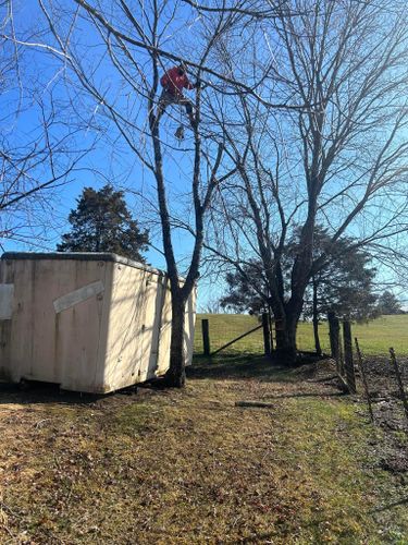 Fall and Spring Clean Up for Atwood’s Tree Care in Liberty,  KY