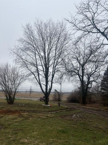  for Dig-It Tree Company in Mason, OH