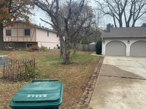 Tree Trimming for K and Z Lawn Care in Andover, MN