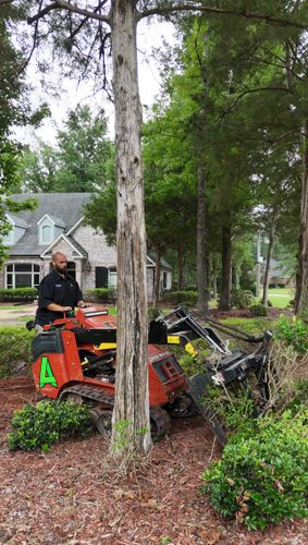  for Amis Lawn and Landscape, LLC in Clinton, MS