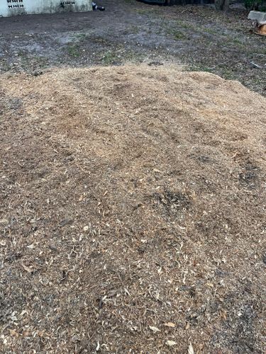  for KB’s Stump Removal in Seminole, FL