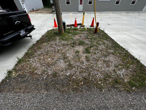  for Lawn Rescue in Texarkana, TX