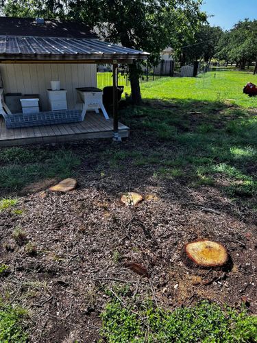 Tree Removal for Oakley’s Stump ‘N Grind in Leander, TX