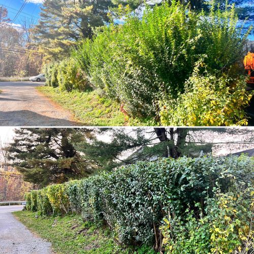 Shrub Trimming for LJ Lawn & Property Maintenance, Inc. in Cold Spring, New York