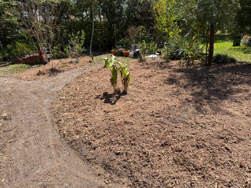  for Greene Acres Stump Grinding in Plant City, FL