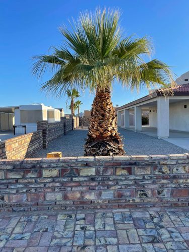 Tree Removal for Oliver L. Palm & Tree services in Yuma, AZ