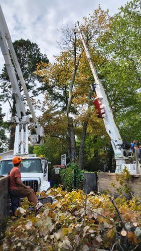 Fall Clean Up for Lamb Brothers Clearing in Murray, KY