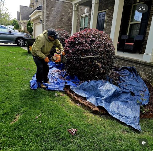 Landscaping for Surprising Odyssey in Gibsonville, NC