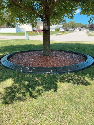 Tree & Shrub Care for Boots Borders in Westville, IN