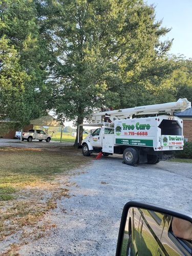 Tree Removal for W D Giampa Lawns and Landscape Inc. in Manassas, VA