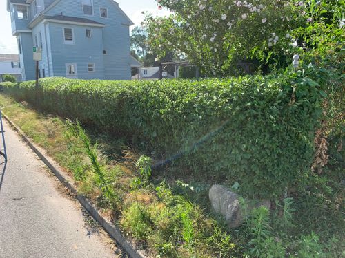Hedge Trimming for Murray Mowing and More in Ashaway, RI