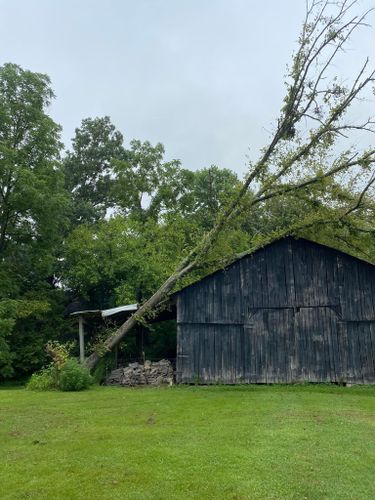 Fall and Spring Clean Up for Atwood’s Tree Care in Liberty,  KY