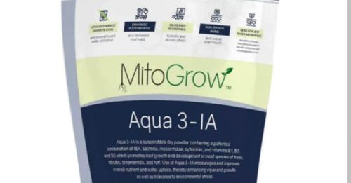 All Photos for Bridgewater Arbor Care LLC in Jupiter, FL