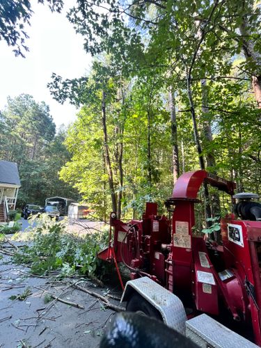  for Ricky's Tree Service & Property Care in Orange, VA