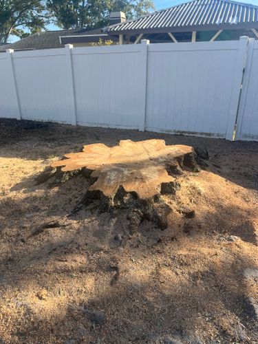 Stump Grinding for Busy Beaver Stump Removal, Inc in Clearwater, FL