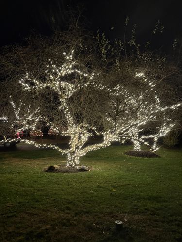 Holiday and Event Lighting Installs for Unique Outdoor Lighting in Short Hills, NJ