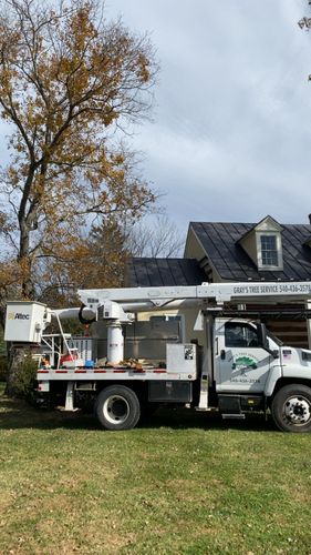 All Photos for Gray's Tree Service Inc in Maurertown, VA
