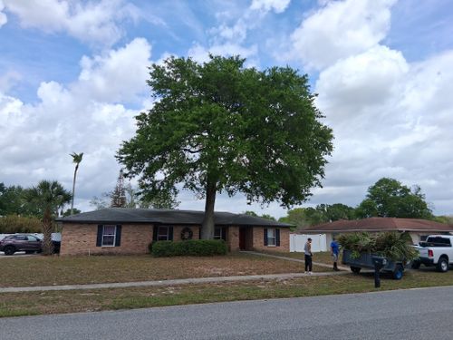 All Photos for A Southern Style Tree Service in Orlando, FL