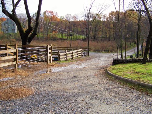 All Photos for Sneider & Sons, LLC in Wantage, New Jersey