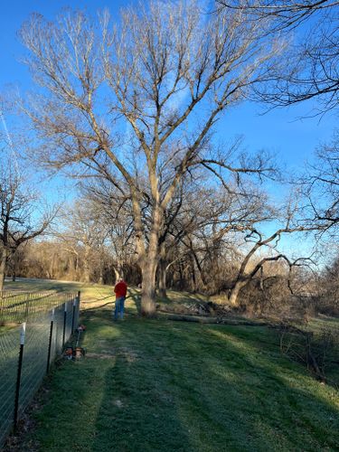  for Marks Tree Service in Fort Worth, TX