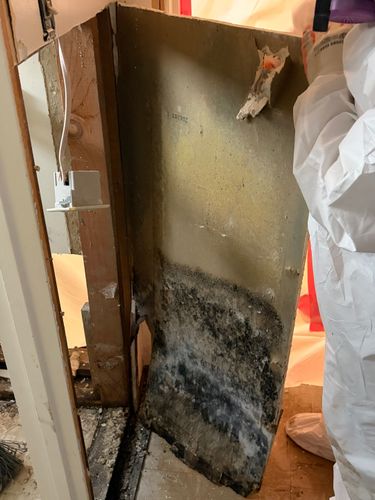 Mold Remediation for ACM Environmental in Salt Lake City, UT