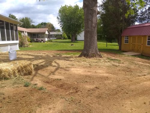 Forestry Mulching for KTN Excavation in Clinton, TN